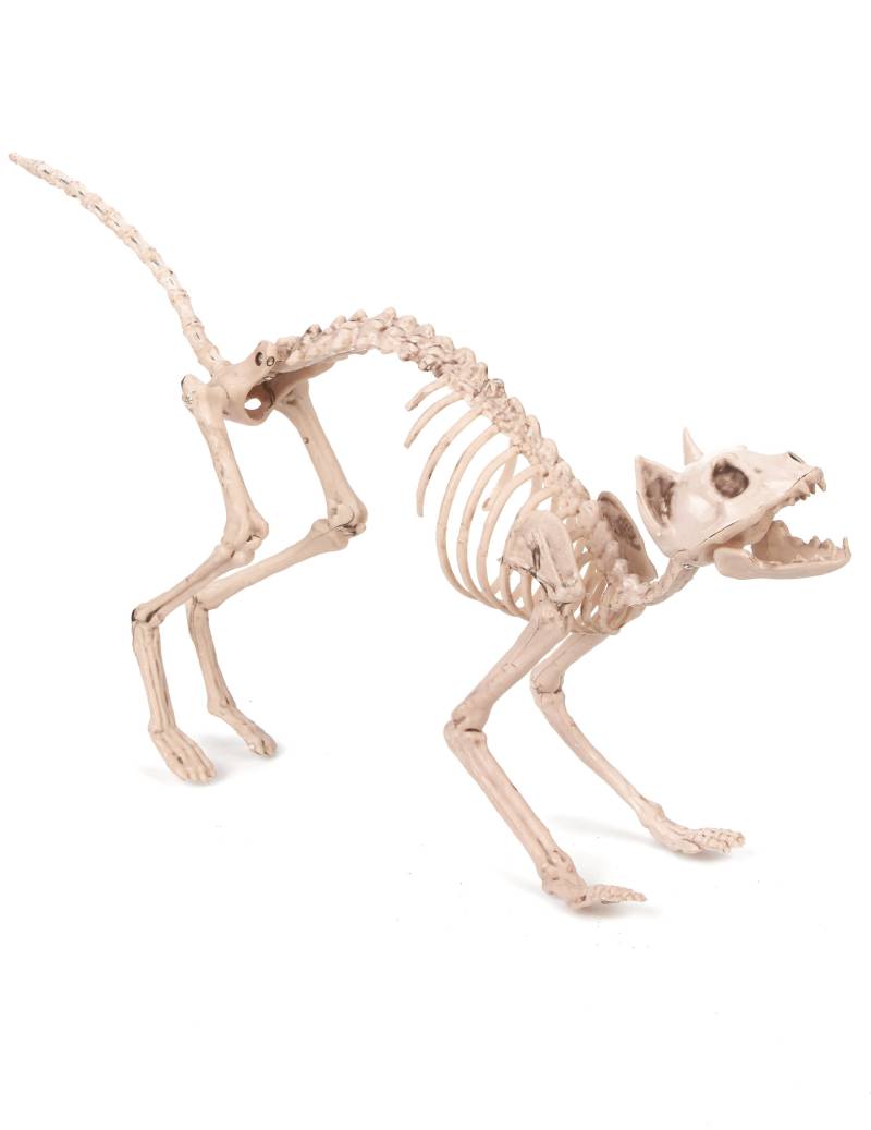 Knochenkatze Halloween-Dekotier weiss 60x12x25cm von KARNEVAL-MEGASTORE