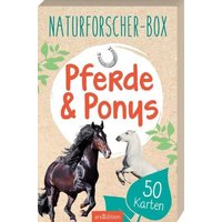 ARSEDITION 132901 Naturforscherbox: Pferde von ARS EDITION