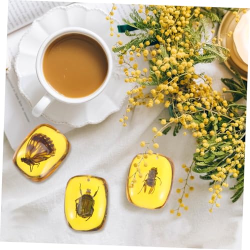 ARTSEWPLY 5 Stück Teiliges Bernstein Insekten Anhänger Natürliche Insektenproben Kreative DIY Schmuckanhänger Leicht Farbbeständig für Bastelarbeiten und Schmuckgestaltung ARTSEWPLY 5 Stück Teiliges Bernstein Insekten Anhänger Natürliche Insektenproben Kreative DIY Schmuckanhänger Leicht Farbbeständig für Bastelarbeiten und Schmuckgestaltung von ARTSEWPLY