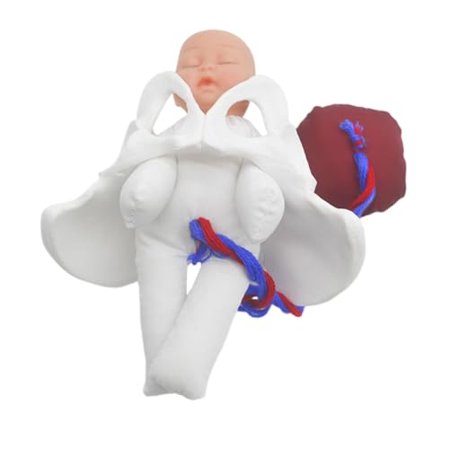 ARTSEWPLY Anatomisches Beckenmodell Geburtssimulator mit Nabelschnur und Plazenta Medizinisches Lehrmodell für Hebammen Geburtsvorbereitungskurse ARTSEWPLY Anatomisches Beckenmodell Geburtssimulator mit Nabelschnur und Plazenta Medizinisches Lehrmodell für Hebammen Geburtsvorbereitungskurse von ARTSEWPLY