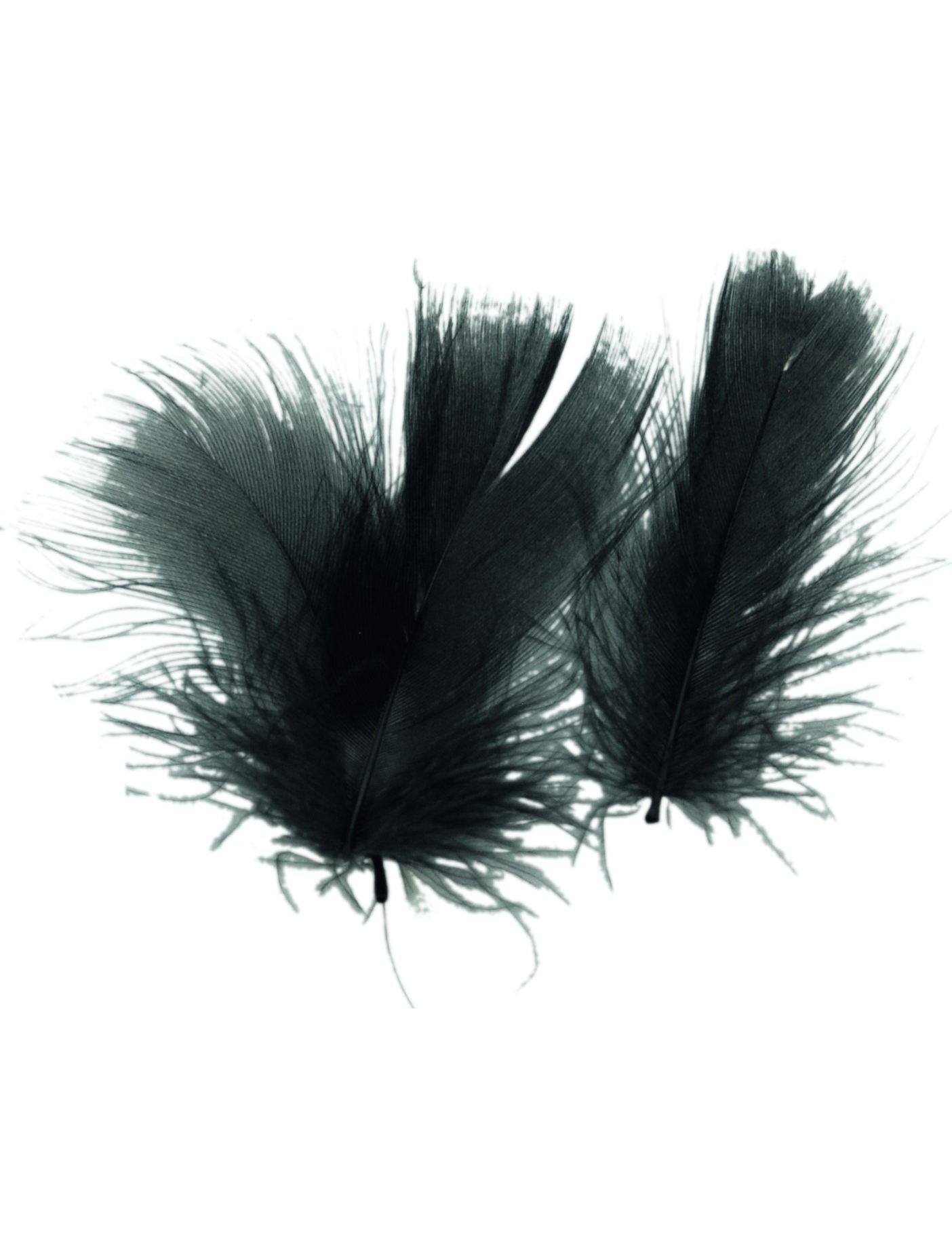 Deko Federn schwarz 7 cm Deko Federn schwarz 7 cm von ARTYFETES