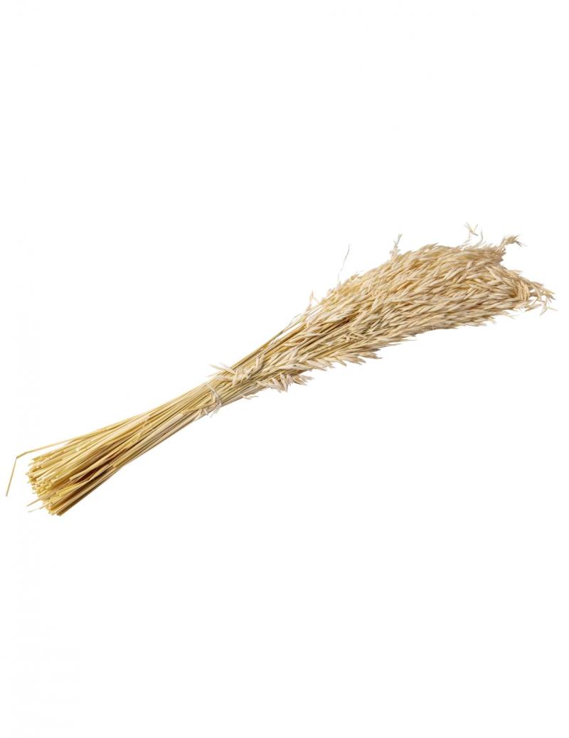 Getrocknete Naturhafer-Ähren 100 g 73 cm Landhaus-Stil Getrocknete Naturhafer-Ähren 100 g 73 cm Landhaus-Stil von ARTYFETES