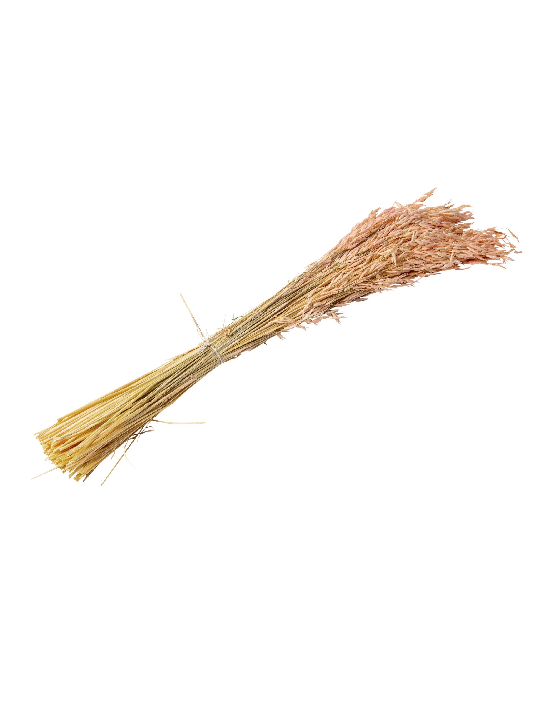 Rosa Trockenblumen-Strauß Hafer 100 g 73 cm Boho-Deko Rosa Trockenblumen-Strauß Hafer 100 g 73 cm Boho-Deko von ARTYFETES