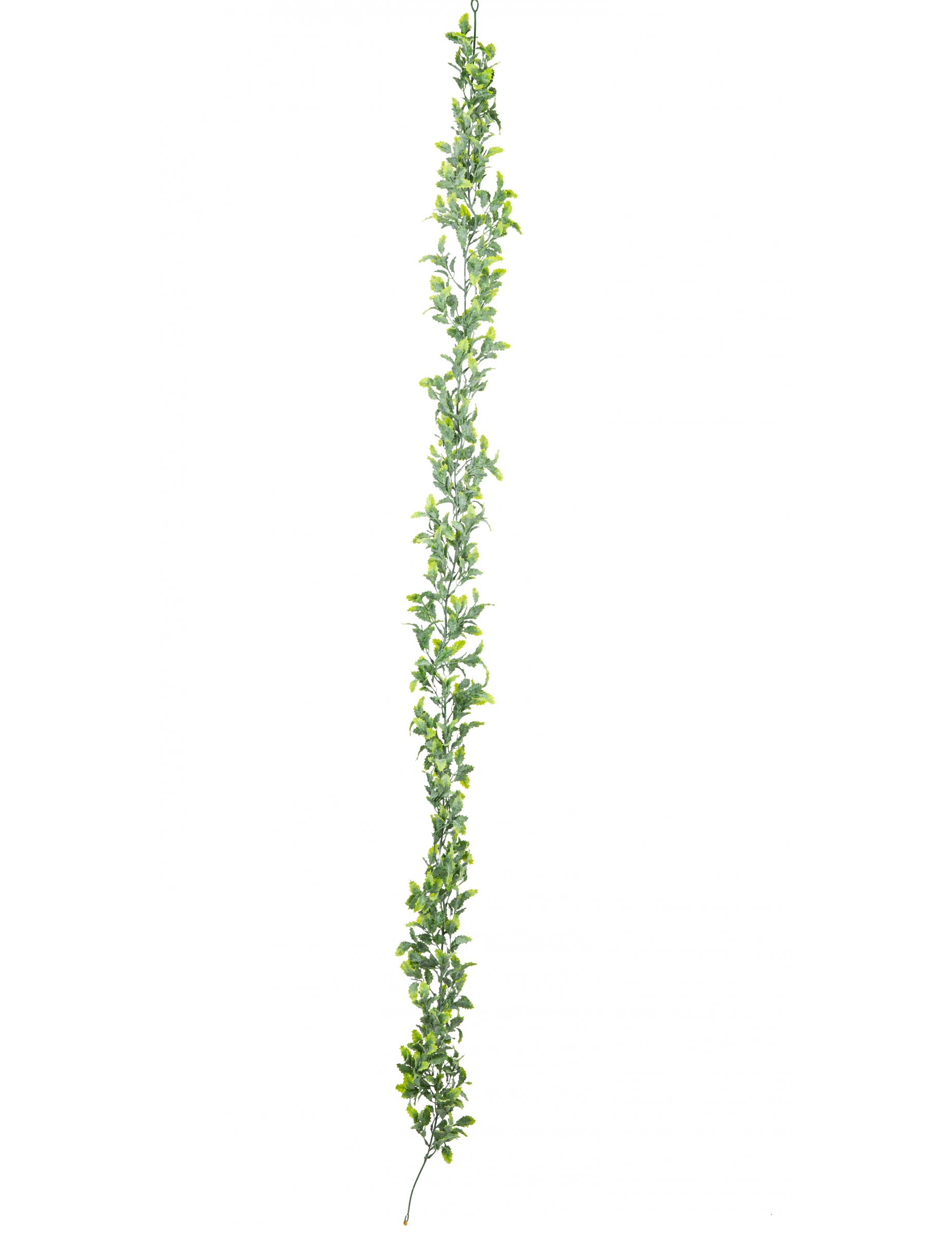 Stechpalmen-Girlande Raumdeko für Weihnachten grün 175 cm Stechpalmen-Girlande Raumdeko für Weihnachten grün 175 cm von ARTYFETES