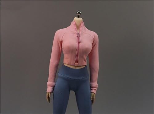 ASEDRFY 1/6 Maßstab weibliche Figur, Puppenkleidung, Jacke, Mäntel, Langarm-Shirt, Kostüm für 30,5 cm Soldaten-Actionfigur, Puppe (grau) von ASEDRFY