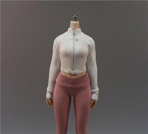 ASEDRFY 1/6 Maßstab weibliche Figur, Puppenkleidung, Jacke, Mäntel, Langarm-Shirt, Kostüm für 30,5 cm Soldaten-Actionfigur, Puppe (grau) von ASEDRFY