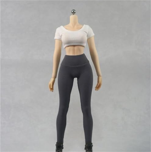 ASEDRFY 1/6 Maßstab weibliche Figur, Puppenkleidung, Sport, kurzes Hemd, Strumpfhose, Legging-Kostüm für 30,5 cm große Soldaten-Actionfigur ASEDRFY 1/6 Maßstab weibliche Figur, Puppenkleidung, Sport, kurzes Hemd, Strumpfhose, Legging-Kostüm für 30,5 cm große Soldaten-Actionfigur von ASEDRFY