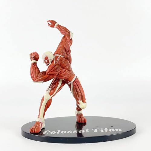 ASEDRFY Eren Jaeger, Levi, Figura de acci?n, cifras de anime de ?n, figura de personajes de PVC, colecci?n de estatua de PVC, modelo de decoraci?n, regalo 6.3 (The Blinded Titan 2) von ASEDRFY