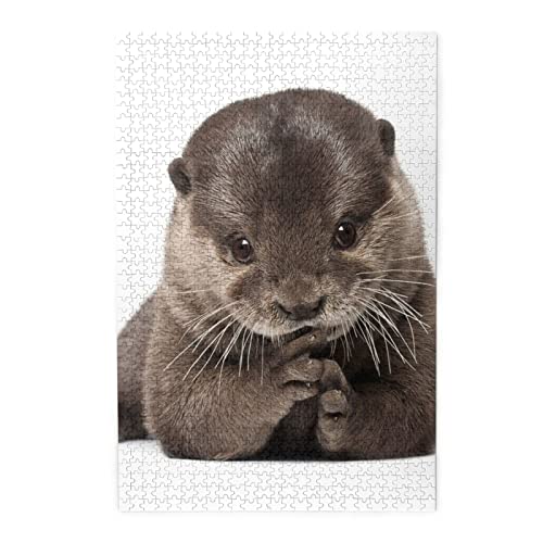 Niedliche Otter-Puzzles sind geeignet für Erwachsene und Jungen und Mädchen. 1000-teiliges Puzzle von ASEELO