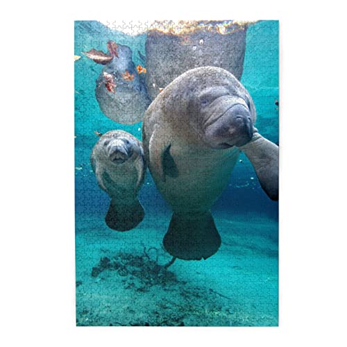 West Indian Manatees Puzzles are Suitable for Adults and Boys and Girls.1000 Piece Jigsaw Puzzle von ASEELO
