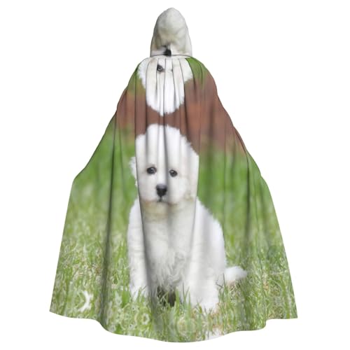 ASFgda Mittelalterlicher Umhang mit Kapuze, Bichon-Frisé-Hunde-Druck, Renaissance-Umhang, Unisex, mit Kapuze, Halloween, Weihnachten, Kostüme, Party-Umhang ASFgda Mittelalterlicher Umhang mit Kapuze, Bichon-Frisé-Hunde-Druck, Renaissance-Umhang, Unisex, mit Kapuze, Halloween, Weihnachten, Kostüme, Party-Umhang von ASFgda