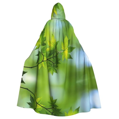 ASFgda Mittelalterlicher Umhang mit Kapuze, HD-Grün, Naturdruck, Renaissance-Umhang, Unisex, mit Kapuze, Halloween, Weihnachten, Kostüme, Party-Umhang ASFgda Mittelalterlicher Umhang mit Kapuze, HD-Grün, Naturdruck, Renaissance-Umhang, Unisex, mit Kapuze, Halloween, Weihnachten, Kostüme, Party-Umhang von ASFgda