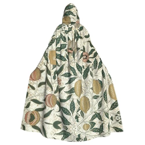 ASFgda Mittelalterlicher Umhang mit Kapuze und Pflanzen und Früchten, Renaissance-Umhang, Unisex, mit Kapuze, Halloween, Weihnachten, Kostüme, Party-Umhang ASFgda Mittelalterlicher Umhang mit Kapuze und Pflanzen und Früchten, Renaissance-Umhang, Unisex, mit Kapuze, Halloween, Weihnachten, Kostüme, Party-Umhang von ASFgda