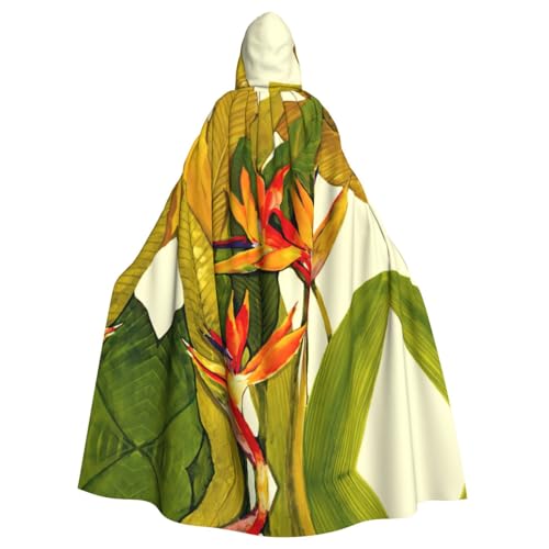 ASFgda Mittelalterlicher Umhang mit Kapuze und tropischem Paradiesvogel-Druck, Renaissance-Umhang, Unisex, mit Kapuze, Halloween, Weihnachten, Kostüme, Party-Umhang ASFgda Mittelalterlicher Umhang mit Kapuze und tropischem Paradiesvogel-Druck, Renaissance-Umhang, Unisex, mit Kapuze, Halloween, Weihnachten, Kostüme, Party-Umhang von ASFgda