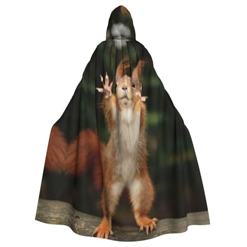 Mittelalterlicher Umhang mit Kapuze und Eichhörnchen, lustiger Tierdruck, Renaissance-Umhang, Unisex, mit Kapuze, Halloween, Weihnachten, Kostüme, Party-Umhang Mittelalterlicher Umhang mit Kapuze und Eichhörnchen, lustiger Tierdruck, Renaissance-Umhang, Unisex, mit Kapuze, Halloween, Weihnachten, Kostüme, Party-Umhang von ASFgda