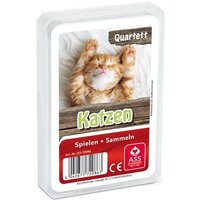 ASS Altenburger Spielkarten - Quartett Katzen von ASS Altenburger Spielkarten