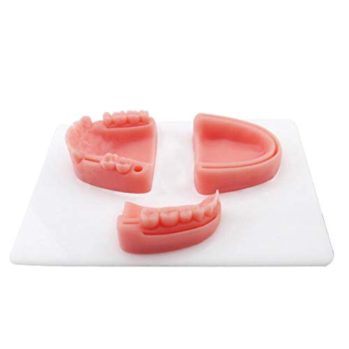3D-Naht-Trainings-Pad, weiche Silikon-Dental-Mundhöhle-Nahtmaterial mit Wunden, für Ärzte, Medizinstudenten und Krankenschwestern 3D-Naht-Trainings-Pad, weiche Silikon-Dental-Mundhöhle-Nahtmaterial mit Wunden, für Ärzte, Medizinstudenten und Krankenschwestern von ATJOGWIN