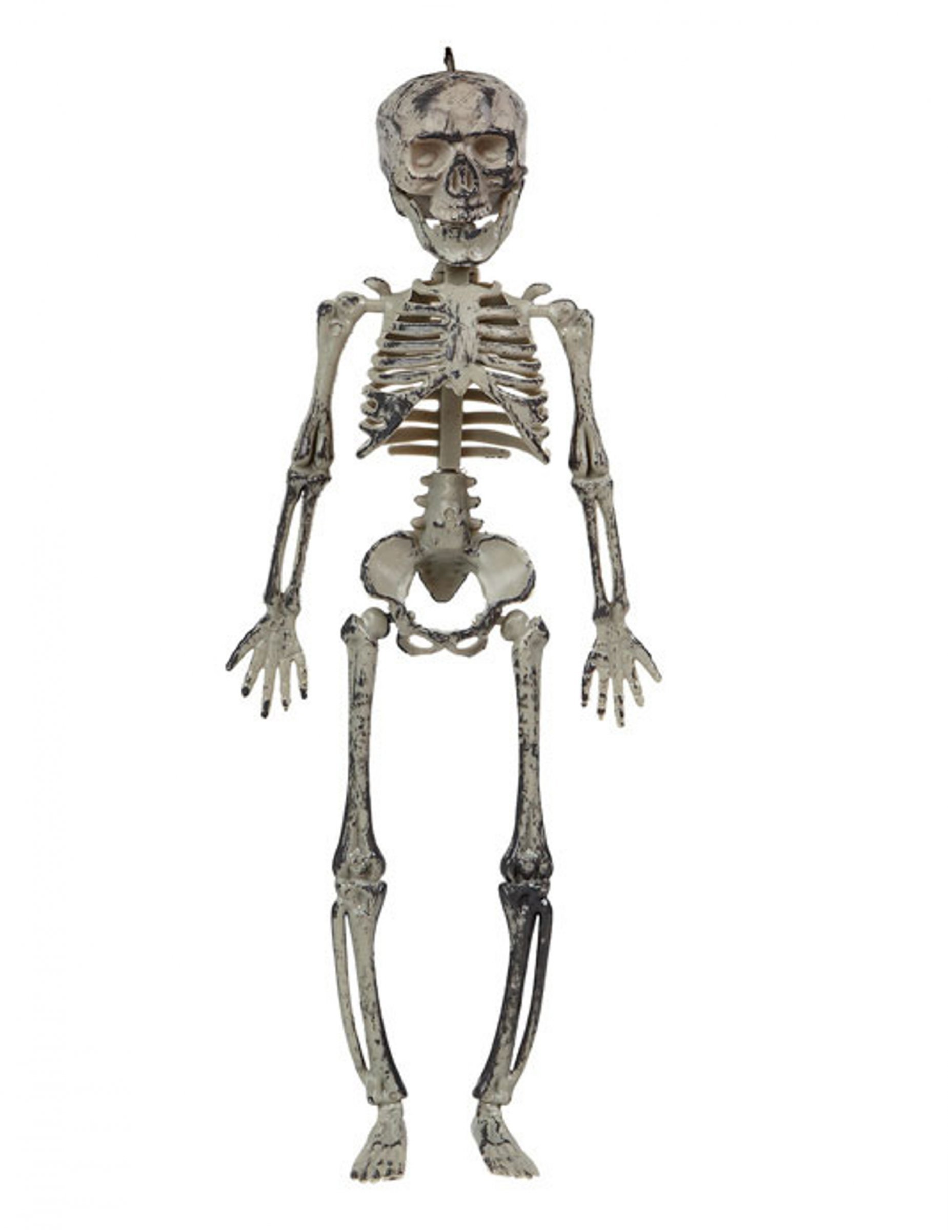 Skelett-Hängedeko Halloween-Deko grau 30cm Skelett-Hängedeko Halloween-Deko grau 30cm von ATOSA