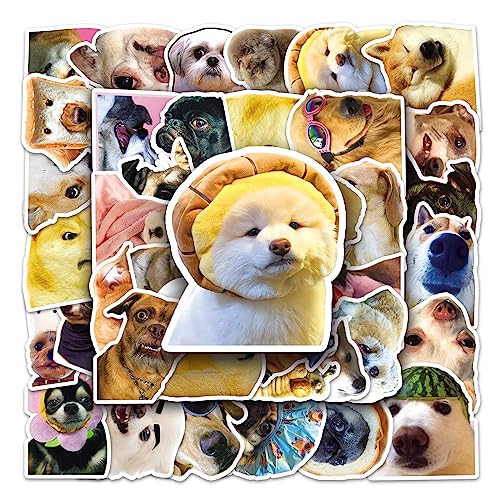 AUCEKO 50 Stück Hund Meme Aufkleber Pack Dog Sticker Set wasserdichte Vinyl Sticker für Laptop Kinder Autos Motorrad Fahrrad Skateboard Gepäck Koffer Computer Aufkleber Graffiti Decal AUCEKO 50 Stück Hund Meme Aufkleber Pack Dog Sticker Set wasserdichte Vinyl Sticker für Laptop Kinder Autos Motorrad Fahrrad Skateboard Gepäck Koffer Computer Aufkleber Graffiti Decal von AUCEKO