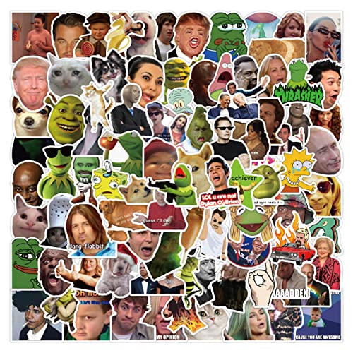 AUCEKO Lustige Meme Vinyl Sticker Pack für Laptop,Vinyl wasserdichte Aufkleber für Skateboard,Wasserflaschen,Computer,Telefon,Gitarre, Phone,100PCS von AUCEKO