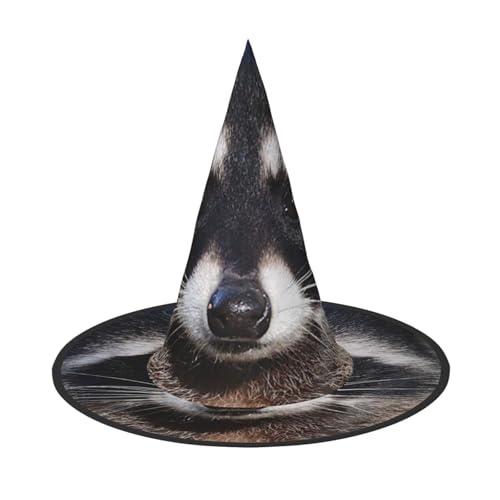 AUGUSTRUSH Verstellbarer Hexenhut für Damen und Herren, kleiner Waschbärgesicht, Halloween-Hut, faltbares Halloween-Partyzubehör, spitze Zauberermütze für Cosplay, Karneval, Maskerade, 1 Stück AUGUSTRUSH Verstellbarer Hexenhut für Damen und Herren, kleiner Waschbärgesicht, Halloween-Hut, faltbares Halloween-Partyzubehör, spitze Zauberermütze für Cosplay, Karneval, Maskerade, 1 Stück von AUGUSTRUSH