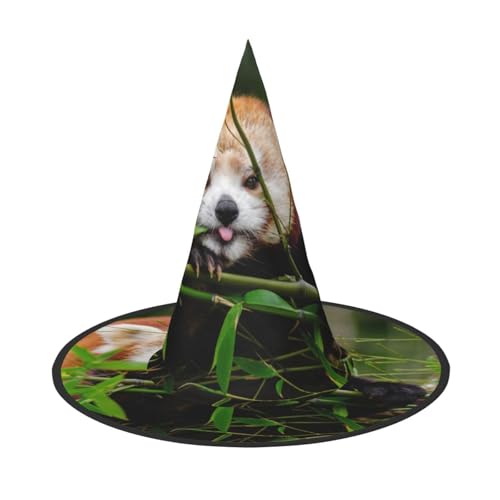 AUGUSTRUSH Verstellbarer Hexenhut für Damen und Herren, kleiner roter Panda-Halloween-Hut, faltbares Halloween-Partyzubehör, spitze Zauberermütze für Cosplay, Karneval, Maskerade, 1 Stück AUGUSTRUSH Verstellbarer Hexenhut für Damen und Herren, kleiner roter Panda-Halloween-Hut, faltbares Halloween-Partyzubehör, spitze Zauberermütze für Cosplay, Karneval, Maskerade, 1 Stück von AUGUSTRUSH