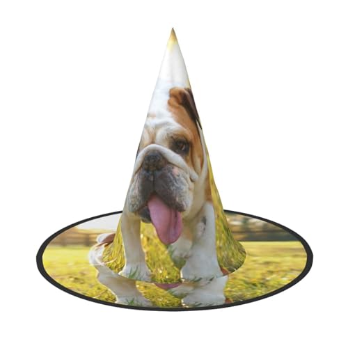 AUGUSTRUSH Verstellbarer Hexenhut für Damen und Herren, niedliche Bulldogge Welpe Halloween Hut Faltbare Halloween Party Zubehör Spitze Zauberer Kappe für Cosplay Karneval Maskerade 1 Stück AUGUSTRUSH Verstellbarer Hexenhut für Damen und Herren, niedliche Bulldogge Welpe Halloween Hut Faltbare Halloween Party Zubehör Spitze Zauberer Kappe für Cosplay Karneval Maskerade 1 Stück von AUGUSTRUSH