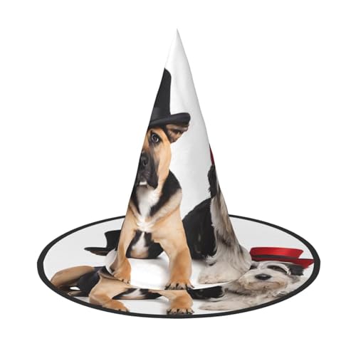 AUGUSTRUSH Verstellbarer Hexenhut für Frauen & Männer, niedliche Hunde Halloween Hut Faltbare Halloween Party Zubehör Spitze Zauberer Kappe für Cosplay Karneval Maskerade 1 Stück AUGUSTRUSH Verstellbarer Hexenhut für Frauen & Männer, niedliche Hunde Halloween Hut Faltbare Halloween Party Zubehör Spitze Zauberer Kappe für Cosplay Karneval Maskerade 1 Stück von AUGUSTRUSH
