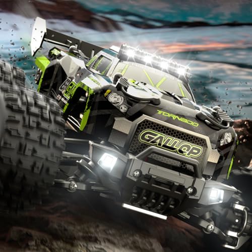 Premium RC Monster Truck ferngesteuert XXL 1:18 Ferngesteuertes Auto 40km/h High Speed Crawler 2 Akkus von AURUM