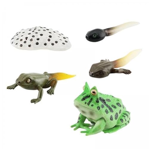 AWHAO 2X Animal Figur Cognitive Cycle Vorschule Modellhilfe bei Der Unterrichtsspielzeugentwicklung für Die Vorschulbildung AWHAO 2X Animal Figur Cognitive Cycle Vorschule Modellhilfe bei Der Unterrichtsspielzeugentwicklung für Die Vorschulbildung von AWHAO