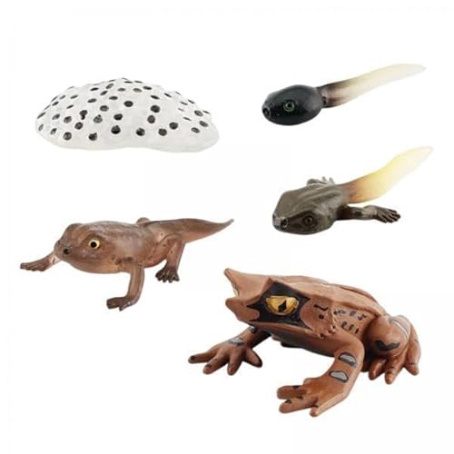 AWHAO 2X Animal Figur Kognitiver Zyklus Vorschule Modellhilfe für Das Unterrichten von Spielzeugentwicklung für Die Vorschulbildung AWHAO 2X Animal Figur Kognitiver Zyklus Vorschule Modellhilfe für Das Unterrichten von Spielzeugentwicklung für Die Vorschulbildung von AWHAO