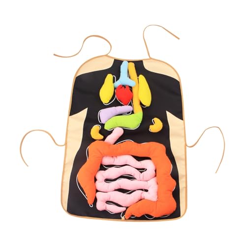 AWHAO 3D Organ Schürze Interne Organschürze Wissenschaftsunterrichtsbewusstsein Bildung Bildung AWHAO 3D Organ Schürze Interne Organschürze Wissenschaftsunterrichtsbewusstsein Bildung Bildung von AWHAO
