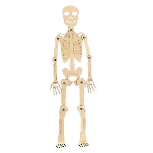 AWHAO 3X Science Toys, DIY Projekte, Puzzlespielzeug, 3D Rätsel für AWHAO 3X Science Toys, DIY Projekte, Puzzlespielzeug, 3D Rätsel für von AWHAO