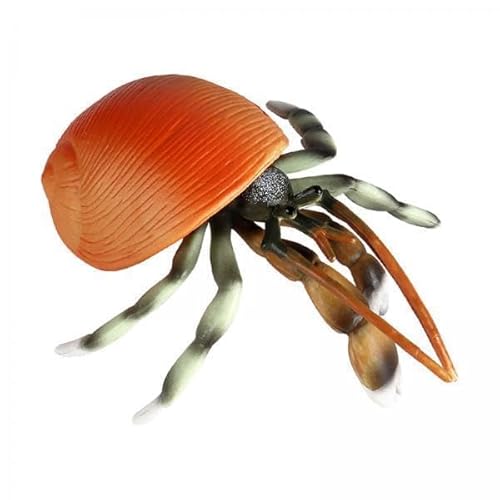 ＡＷＨＡＯ 3X Solid Hermit Tierfigur, Pädagogisches Statisches Modell Plastics Spielzeug Origination für Halloween Kinder Im Vorschule Kleinkinder Kinder von ＡＷＨＡＯ