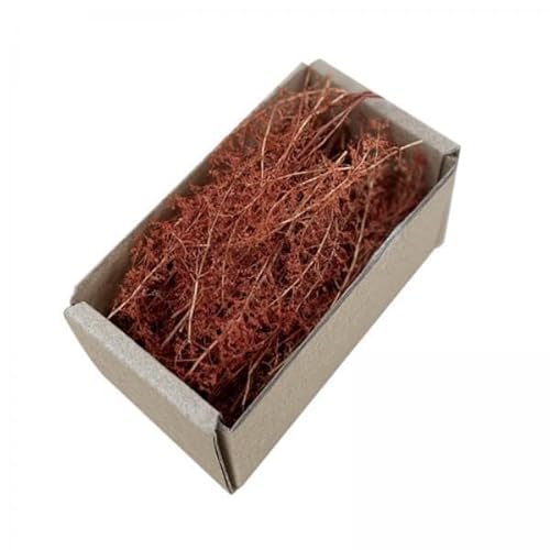 AWHAO 4X Realistische Miniaturgraslandschaftsgestaltung Buschy Tufft Diorama Szenen Eisenbahn Zug Falsches Gras für Sandtisch Züge Fairy Garden AWHAO 4X Realistische Miniaturgraslandschaftsgestaltung Buschy Tufft Diorama Szenen Eisenbahn Zug Falsches Gras für Sandtisch Züge Fairy Garden von AWHAO