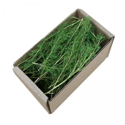 AWHAO 5X Realistische Miniaturgraslandschaftsgestaltung Buschiger Tufft Diorama Landschaftsbahn? AWHAO 5X Realistische Miniaturgraslandschaftsgestaltung Buschiger Tufft Diorama Landschaftsbahn? von AWHAO