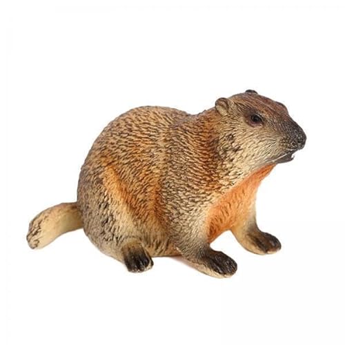 AWHAO 5X Simulation Animal Model Groundhog Spielzeug Home Dekoration Figur Orumament für Geburtstag Präsentiert Haushaltsnutzung Rasenstudienaktivitäten AWHAO 5X Simulation Animal Model Groundhog Spielzeug Home Dekoration Figur Orumament für Geburtstag Präsentiert Haushaltsnutzung Rasenstudienaktivitäten von AWHAO