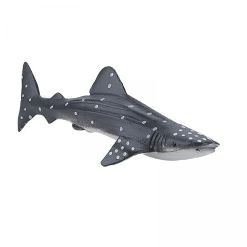 AWHAO 5X Wal Figur Frühes Bildungsspielzeug, Realistische Tierfigur für Kinder Geburtstagsgeschenk AWHAO 5X Wal Figur Frühes Bildungsspielzeug, Realistische Tierfigur für Kinder Geburtstagsgeschenk von AWHAO