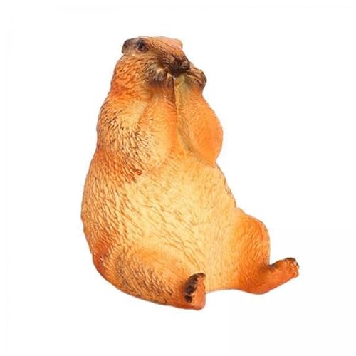AWHAO 6X Simulation Tiermodell Groundhog Toy Home Dekoration Figur Orament für Geburtstag Präsentiert Haushaltsnutzung Rasenstudienaktivitäten AWHAO 6X Simulation Tiermodell Groundhog Toy Home Dekoration Figur Orament für Geburtstag Präsentiert Haushaltsnutzung Rasenstudienaktivitäten von AWHAO