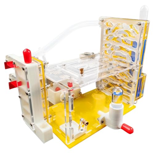 ＡＷＨＡＯ DIY Farm Castle Science Kit House Villa für Home School Schüler von ＡＷＨＡＯ