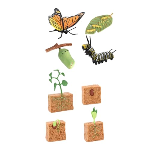 AWHAO Lebenszyklus Figuren Spielzeugset, Schmetterlings Und Bohnenpflanzen, AWHAO Lebenszyklus Figuren Spielzeugset, Schmetterlings Und Bohnenpflanzen, von AWHAO