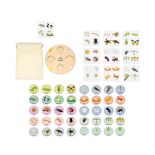 AWHAO Lebenszyklus Puzzle Kit Der Tiere Lebenszyklusschale für Kinder AWHAO Lebenszyklus Puzzle Kit Der Tiere Lebenszyklusschale für Kinder von AWHAO