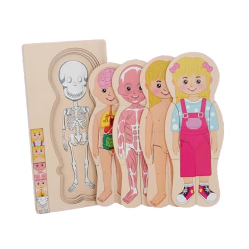 AWHAO Menschlicher Körper Puzzle für Kinder, Puzzles, Lernen, Tragbar, Lernspielzeug, Vorschulspiel für Kinder, Baby Geburtstagsgeschenke, Gril AWHAO Menschlicher Körper Puzzle für Kinder, Puzzles, Lernen, Tragbar, Lernspielzeug, Vorschulspiel für Kinder, Baby Geburtstagsgeschenke, Gril von AWHAO