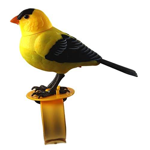 AWHAO Niedliches Interaktives Elektronisches Vogelspielzeug, Simulationsvogel Sprachsteuerung, Musik Lernspielzeug für Kinder Als Geschenk, B AWHAO Niedliches Interaktives Elektronisches Vogelspielzeug, Simulationsvogel Sprachsteuerung, Musik Lernspielzeug für Kinder Als Geschenk, B von AWHAO
