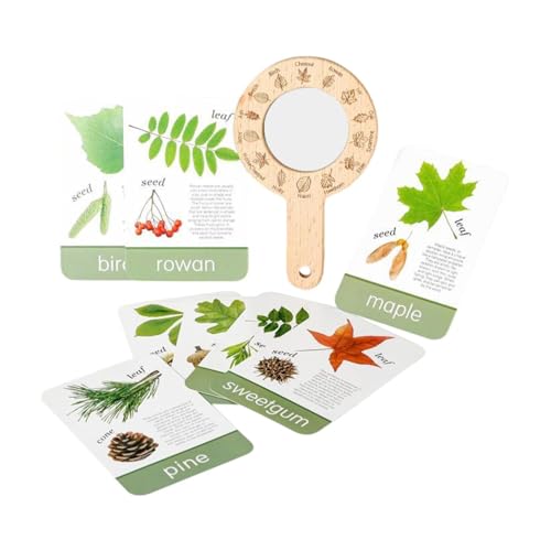 ＡＷＨＡＯ Plant Flash Cards Science Toy Pädagogik für 3 4 5 6 7 8 Kinder Vorschule von ＡＷＨＡＯ