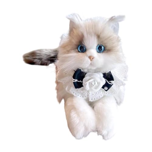 ＡＷＨＡＯ Ragdoll Katze in Stoffed Gestopft in Chat Plüsch für Katzenliebhaber, Katze Rosenschal von ＡＷＨＡＯ