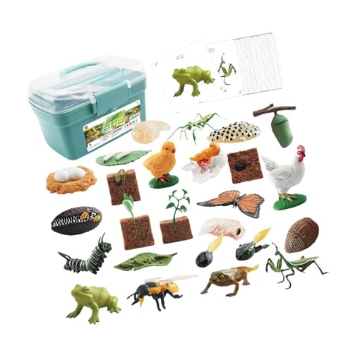 AWHAO Tier Lebenszyklus Spielzeug, Pädagogische Tortenaufsätze, Lehrmittel, Tier Wachstumszyklus Figuren für Spiele, Geburtstagsgeschenke, Rollenspiele, Blaue Box AWHAO Tier Lebenszyklus Spielzeug, Pädagogische Tortenaufsätze, Lehrmittel, Tier Wachstumszyklus Figuren für Spiele, Geburtstagsgeschenke, Rollenspiele, Blaue Box von AWHAO