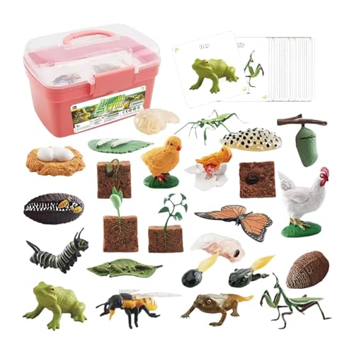 AWHAO Tier Lebenszyklus Spielzeug, Pädagogische Tortenaufsätze, Lehrmittel, Tier Wachstumszyklus Figuren für Spiele, Geburtstagsgeschenke, Rollenspiele, Rosa Schachtel AWHAO Tier Lebenszyklus Spielzeug, Pädagogische Tortenaufsätze, Lehrmittel, Tier Wachstumszyklus Figuren für Spiele, Geburtstagsgeschenke, Rollenspiele, Rosa Schachtel von AWHAO