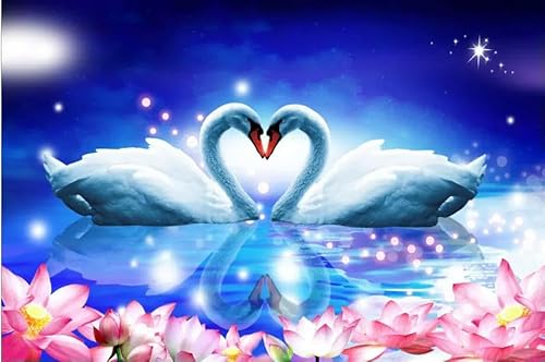 1000 Teile Love Swan Papierpuzzle Lernspielzeug für Erwachsene 50 x 70 cm von AWYHEZ