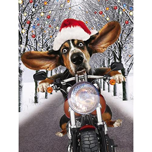 1000 Teile Puzzle für Erwachsene, Auto, pädagogisches Eltern-Kind-Spiel, Wanddekoration, Geschenk, 38 x 52 cm von AWYHEZ
